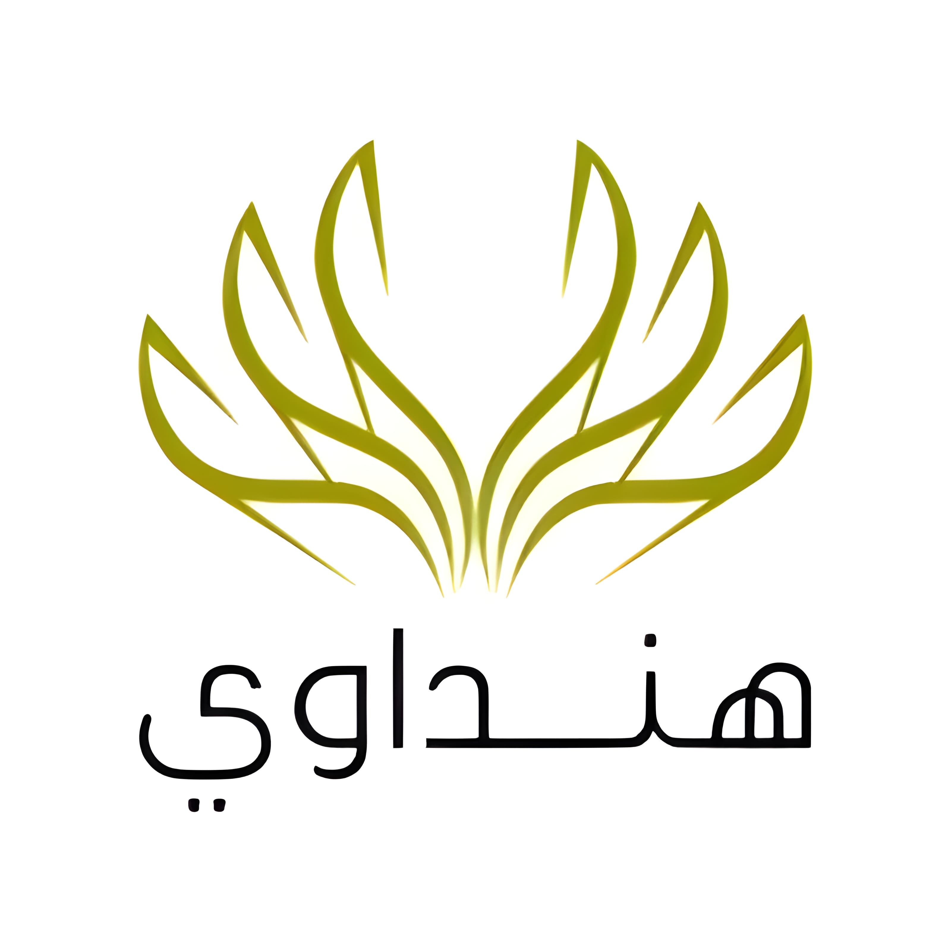 Hindawi Foundation logo
