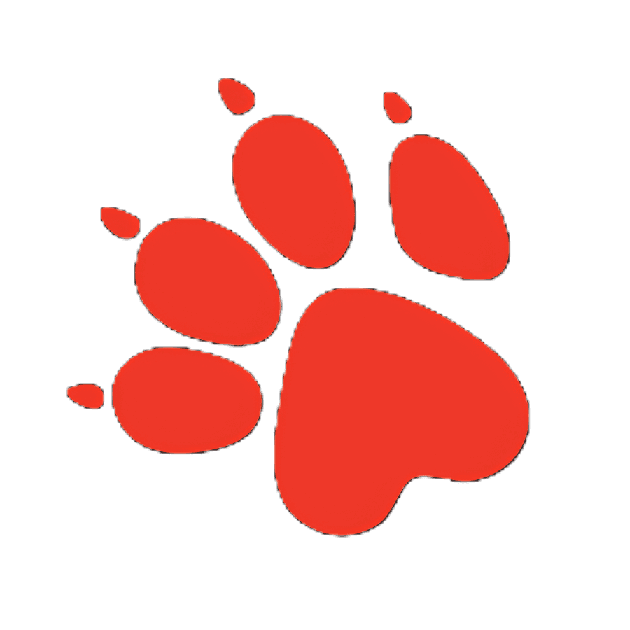 Naughty Dog logo